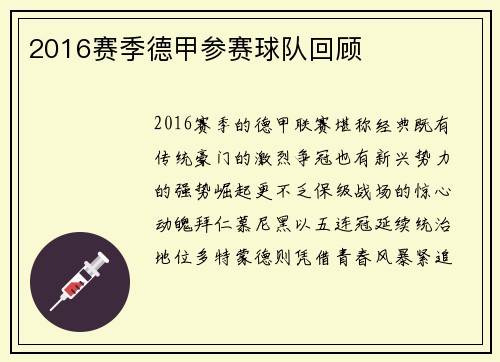 2016赛季德甲参赛球队回顾