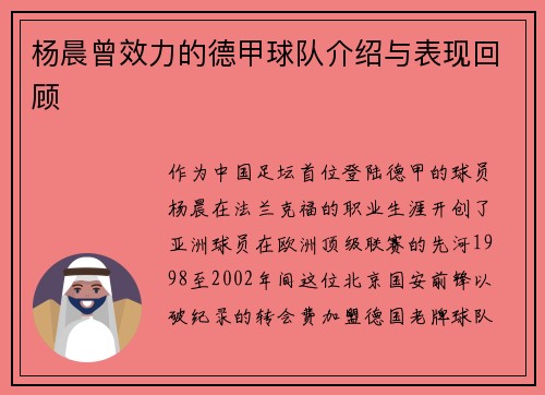 杨晨曾效力的德甲球队介绍与表现回顾
